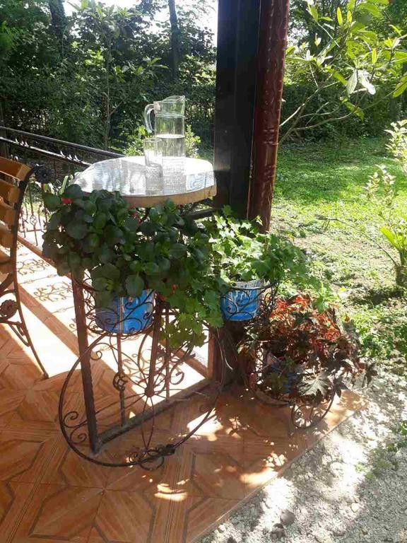 Guest House Danelia Martvili Bagian luar foto